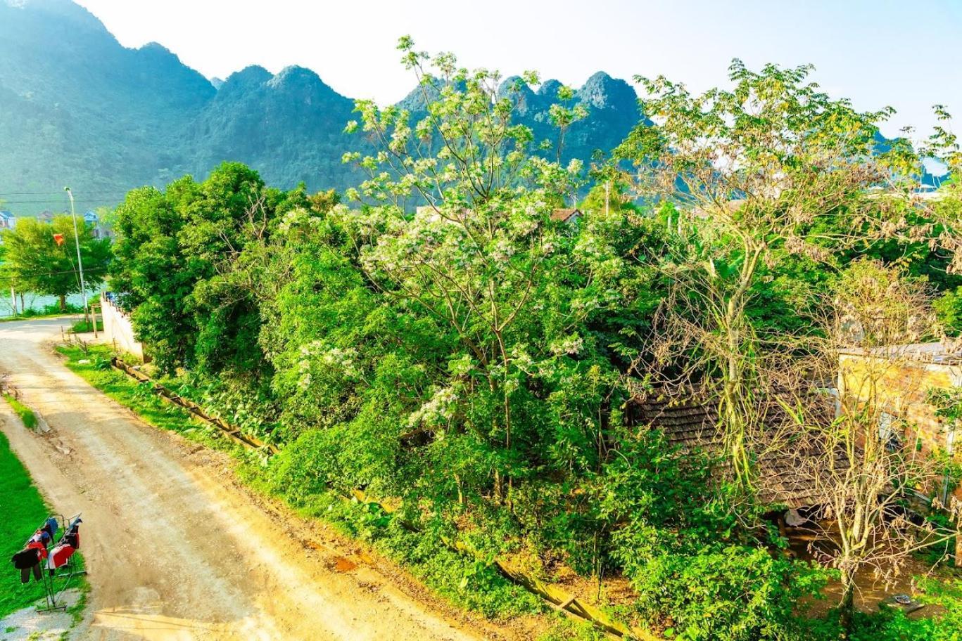Phong Nha Cherish House Zewnętrze zdjęcie